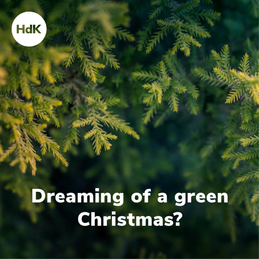 Dreaming of a green Christmas?