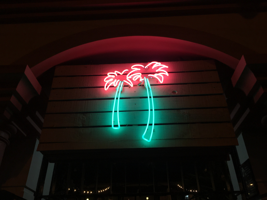 A neon light in the shape of two palm trees against a dark background.
