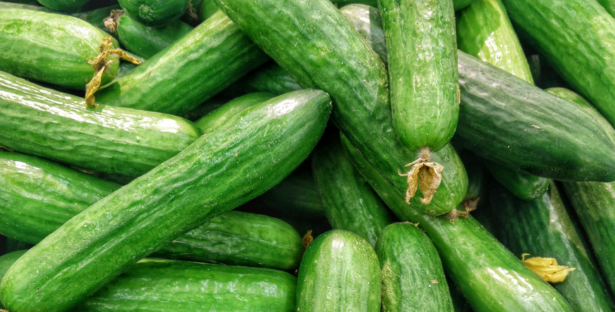Green cucumbers